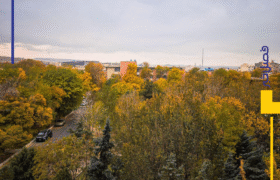 پاییز در دانشگاه تبریز