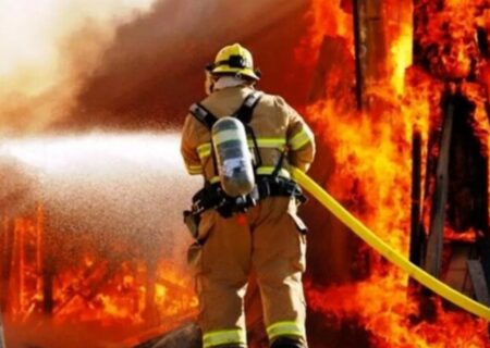 مدیرعامل سازمان آتش نشانی، گزارش داد